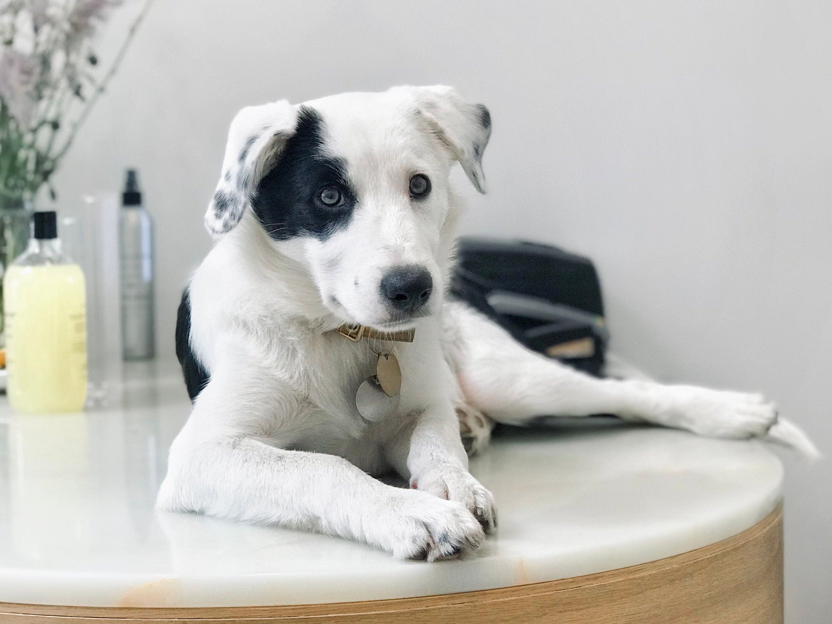 Meet Billie - Our New Brand Ambassador 