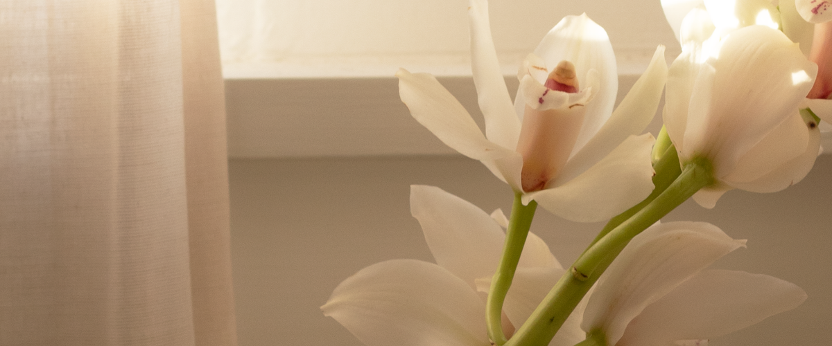 Image Banner