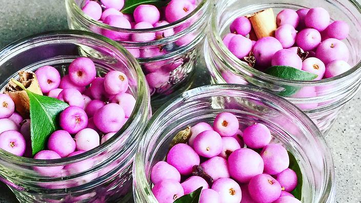 NATIVE FOOD MONTH: PICKLED LILLY PILLY