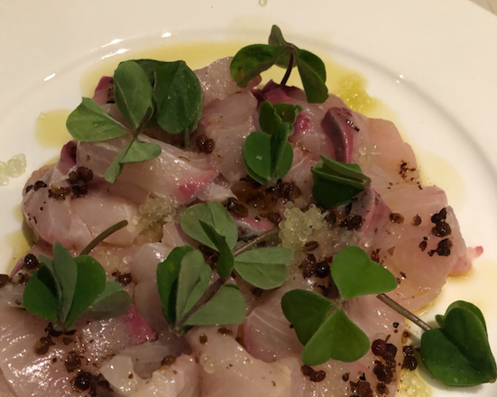 Native eating: Kingfish Crudo with Finger Lime
