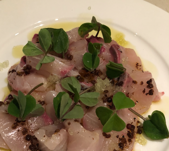 Native eating: Kingfish Crudo with Finger Lime