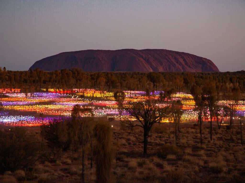 Field of Light - Uluru