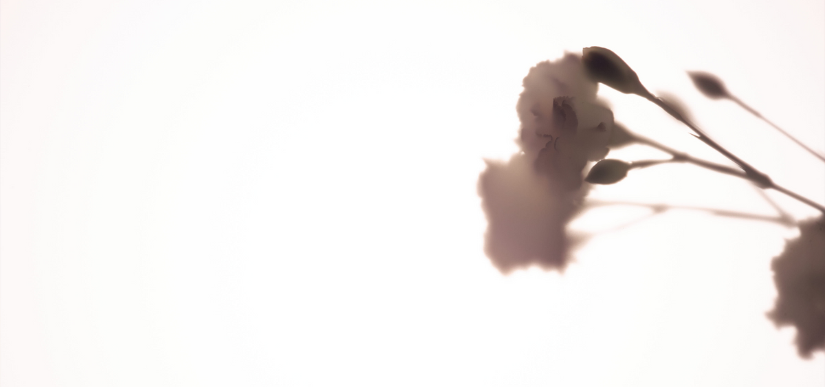 Image Banner