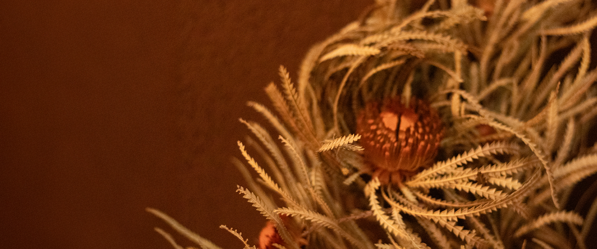DIFFUSERS