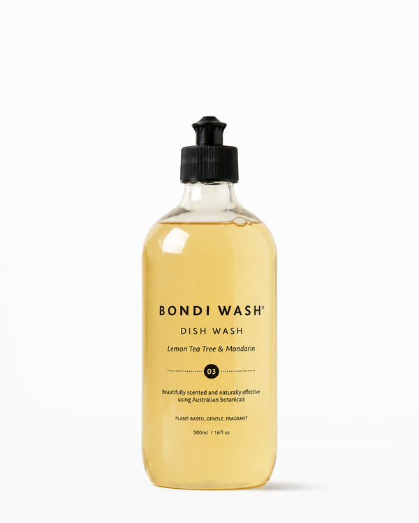 Dish Wash