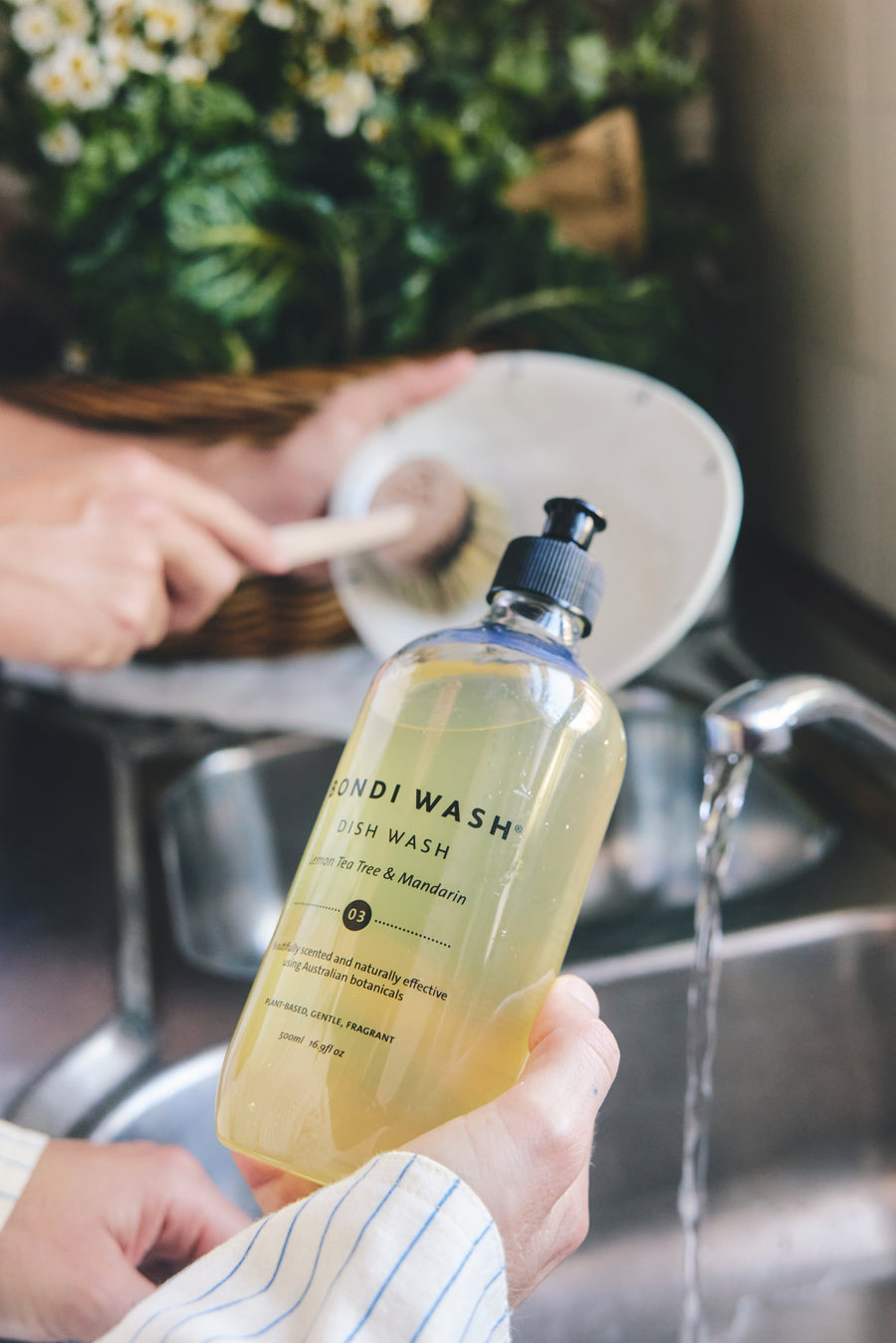Dish Wash