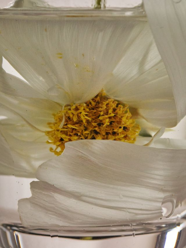 Naturally powerful.Thoughtfully made.